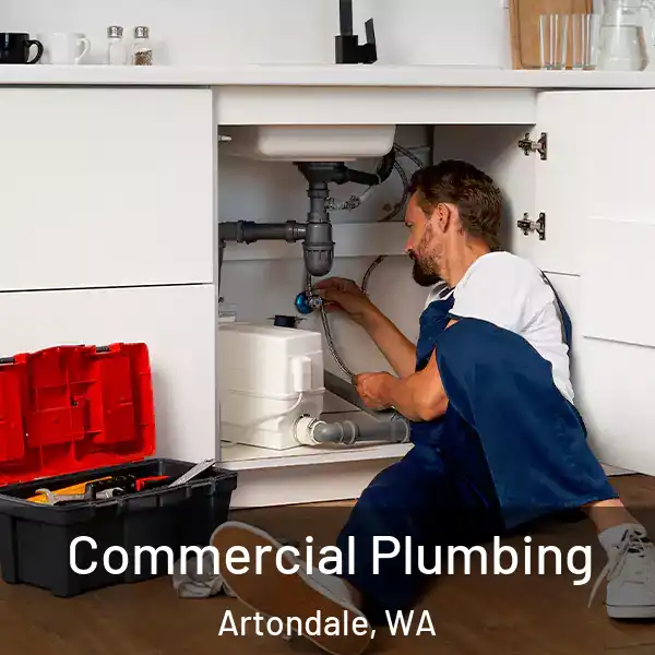  Commercial Plumbing Artondale, WA