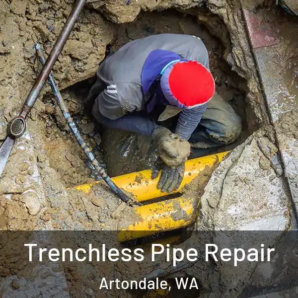  Trenchless Pipe Repair Artondale, WA
